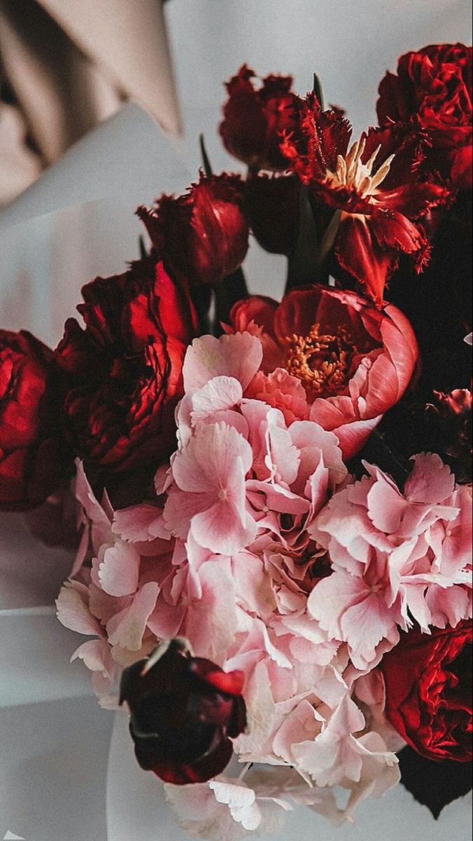 Deep red and blush peonies.